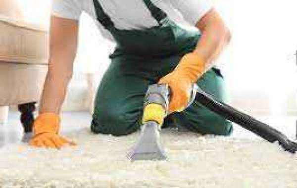 Enhancing Home Style with Expert Professional Carpet Cleaning Services